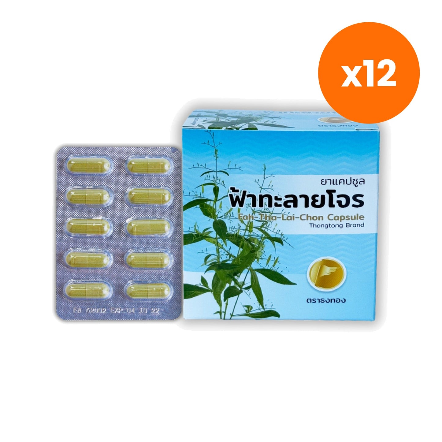Thongtong Osoth Andrographis Fa Talai Jone for Daily Immune Support 100 Blister Capsules