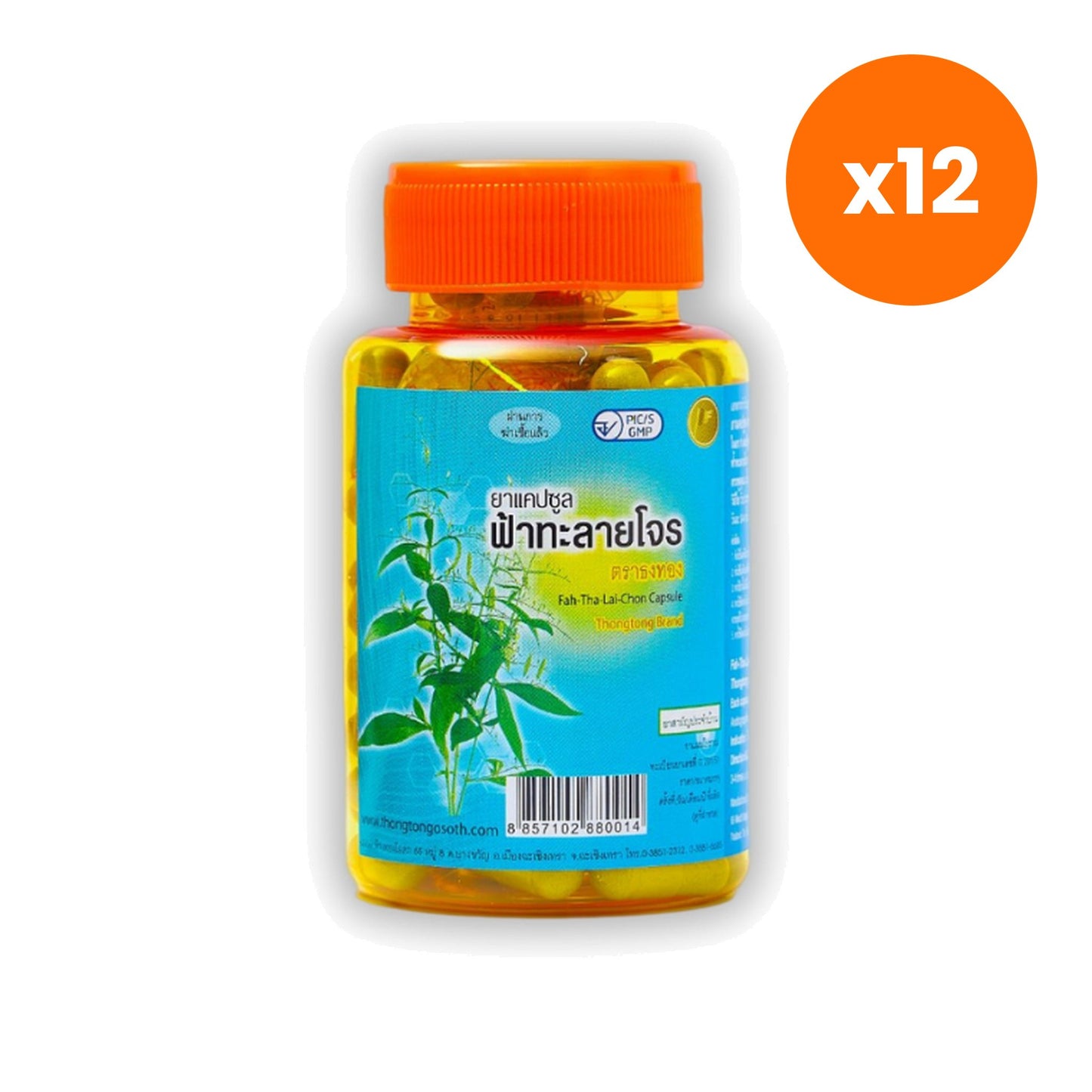 Thongtong Osoth Andrographis Fa Talai Jone for Daily Immune Support 100 Capsules