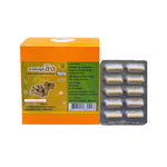 Thongtong Osoth Ginger Capsules — 100 Capsules (10 Blister Strips of 10)