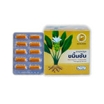 Thongtong Osoth Turmeric Capsules — 100 Capsules (10 Blister Strips of 10)