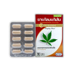 Thongtong Osoth Ya Kae Lom Kae Sen Herbal Capsules — 10 Capsules