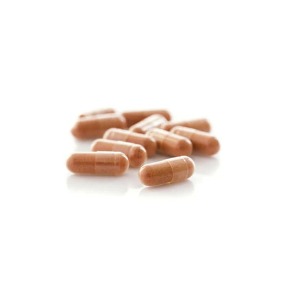 Erawadee No.21 Reishi Mushroom Capsules Daily